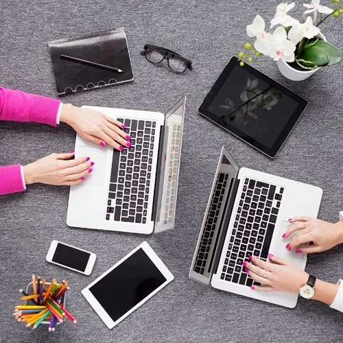 Eğil Web Tasarımcı